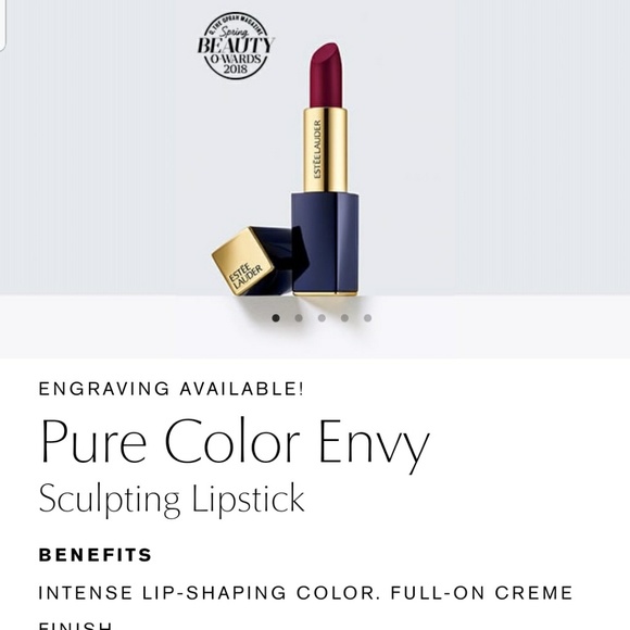 Estee Lauder Other - Estee Lauder Pure Color Envy Lipstick